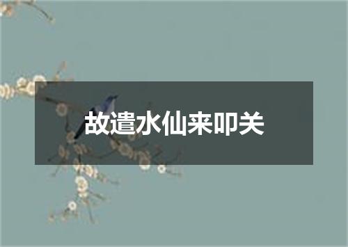 故遣水仙来叩关