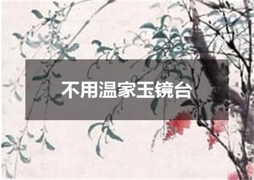 不用温家玉镜台