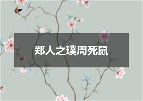郑人之璞周死鼠