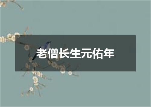 老僧长生元佑年