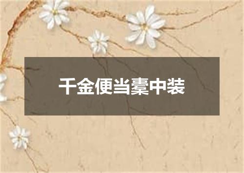 千金便当橐中装