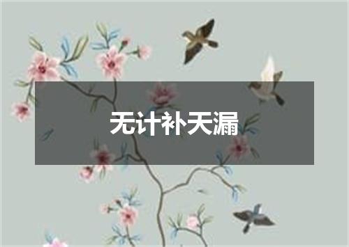 无计补天漏