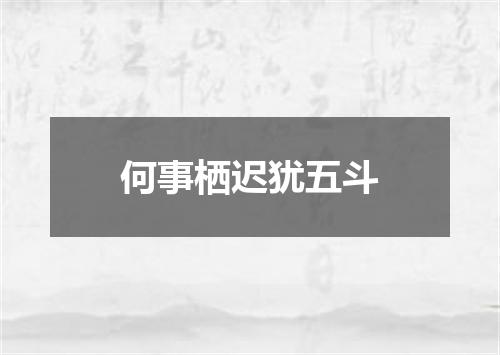 何事栖迟犹五斗