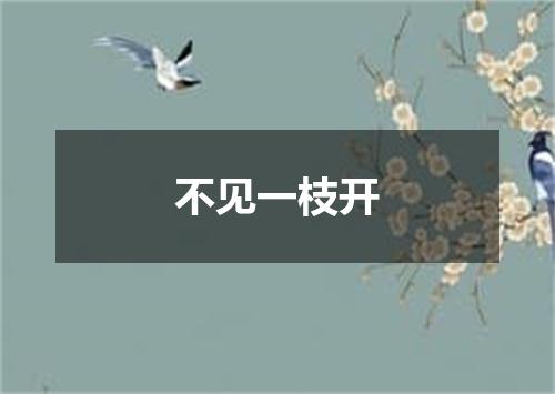 不见一枝开