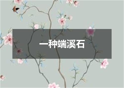 一种端溪石
