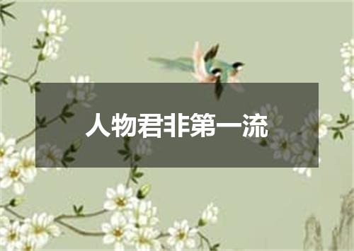 人物君非第一流