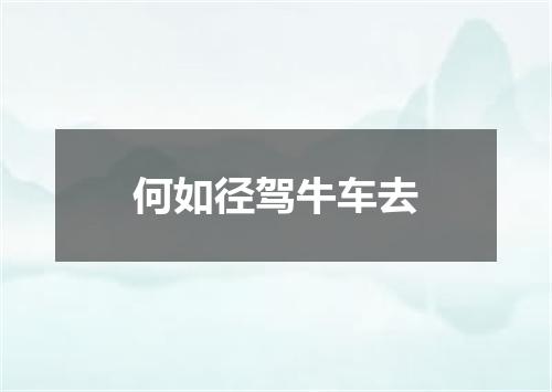 何如径驾牛车去