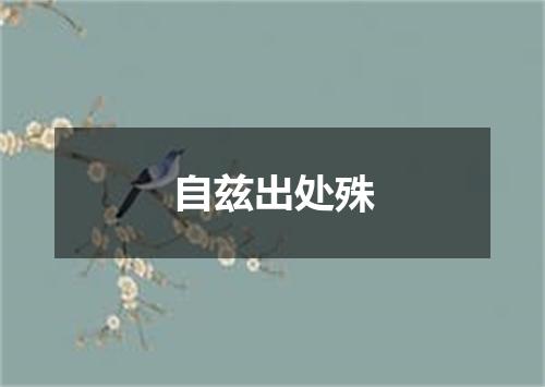 自兹出处殊