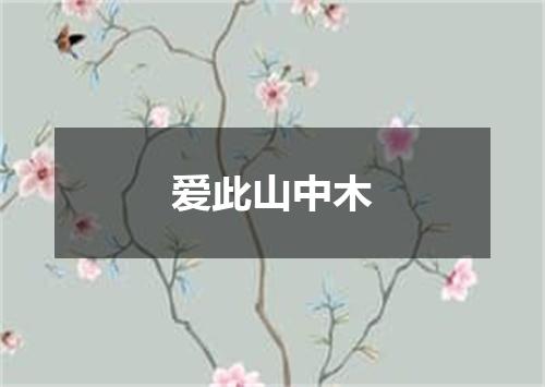 爱此山中木