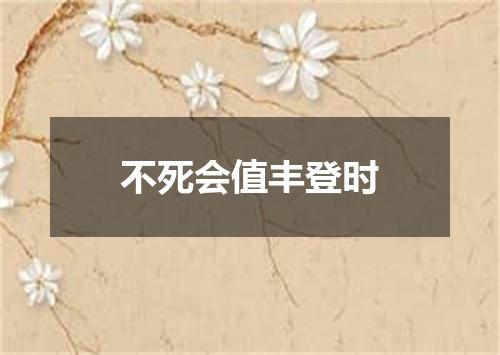 不死会值丰登时
