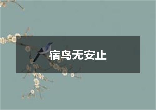 宿鸟无安止
