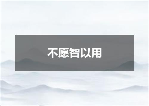 不愿智以用