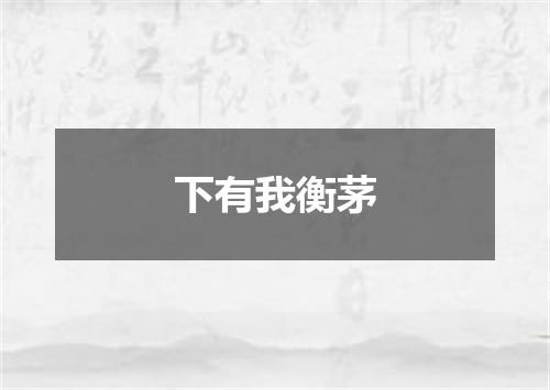 下有我衡茅