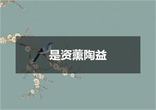 是资薰陶益