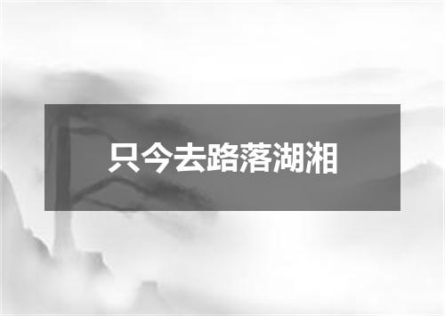 只今去路落湖湘