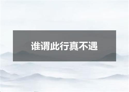 谁谓此行真不遇
