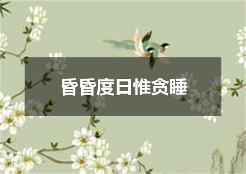 昏昏度日惟贪睡
