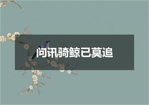 问讯骑鲸已莫追