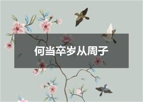 何当卒岁从周子