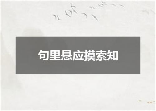 句里悬应摸索知