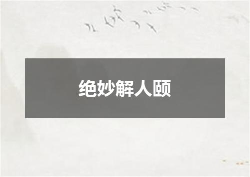绝妙解人颐