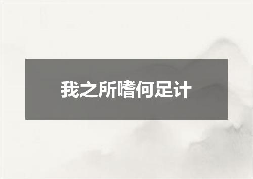 我之所嗜何足计