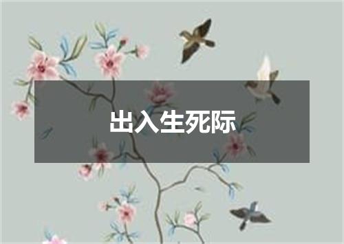 出入生死际