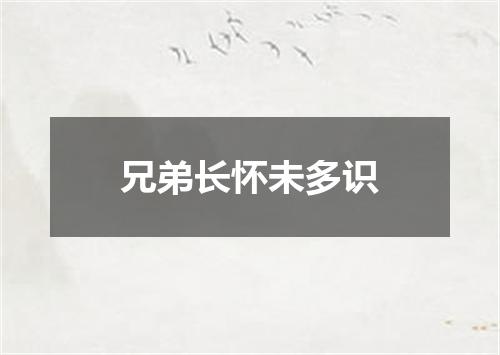 兄弟长怀未多识