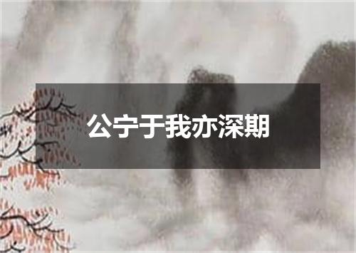 公宁于我亦深期