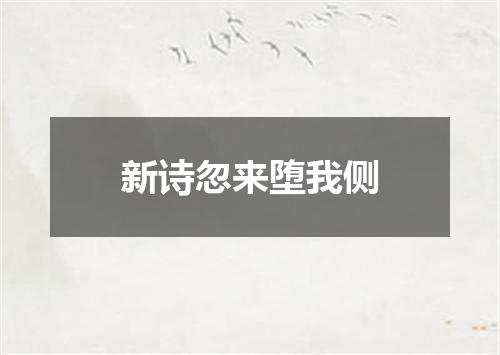 新诗忽来堕我侧