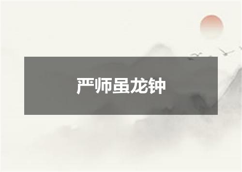 严师虽龙钟