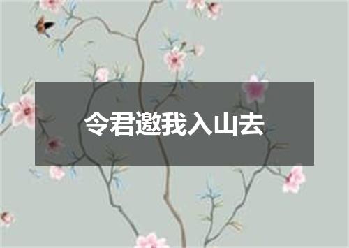 令君邀我入山去