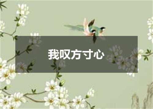 我叹方寸心
