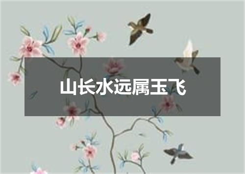 山长水远属玉飞