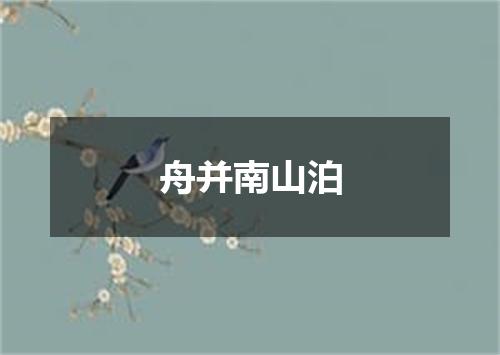 舟并南山泊