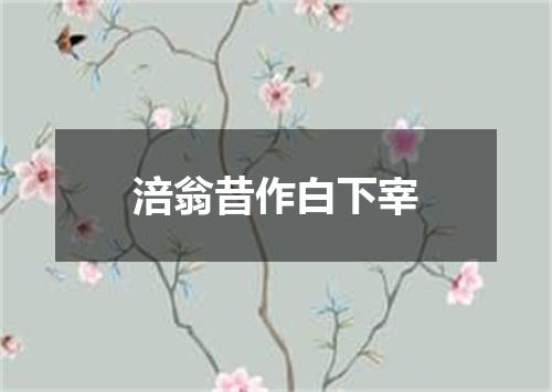 涪翁昔作白下宰
