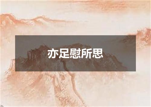 亦足慰所思