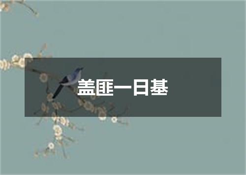盖匪一日基