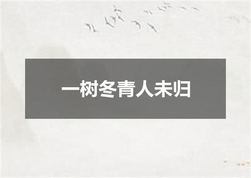 一树冬青人未归