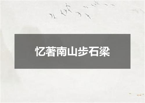 忆著南山步石梁