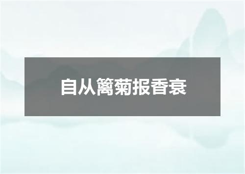 自从篱菊报香衰