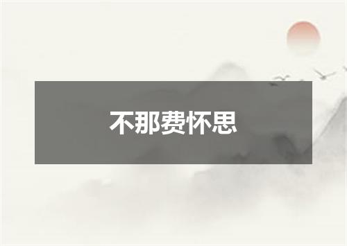不那费怀思