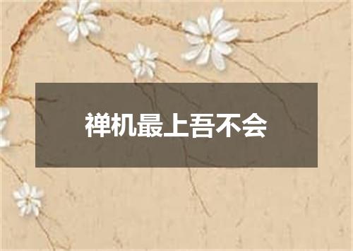 禅机最上吾不会