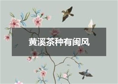 黄溪茶种有闽风