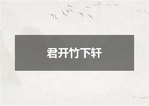 君开竹下轩