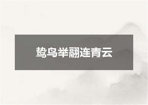 鸷鸟举翮连青云
