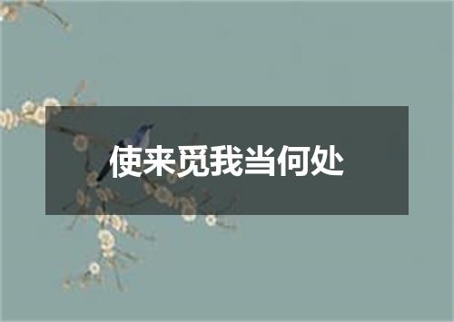 使来觅我当何处
