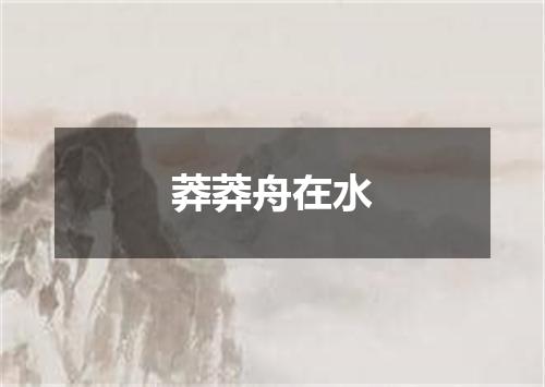莽莽舟在水