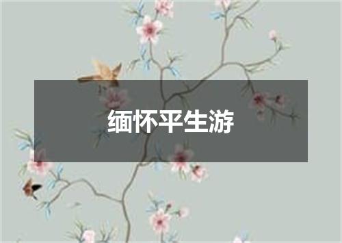 缅怀平生游