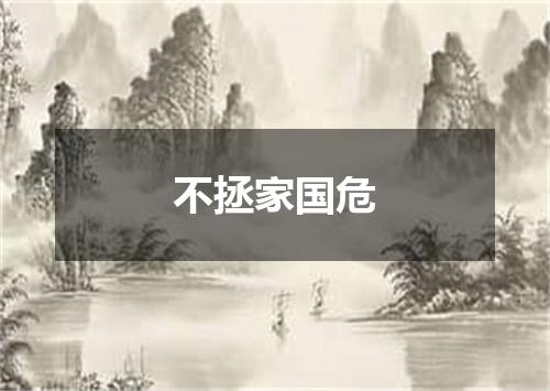 不拯家国危